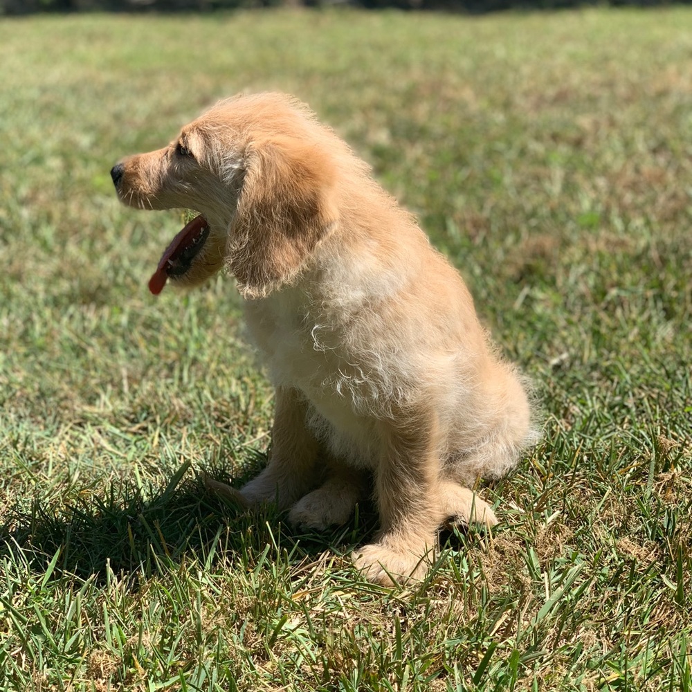 Meet your Posher, Emerie